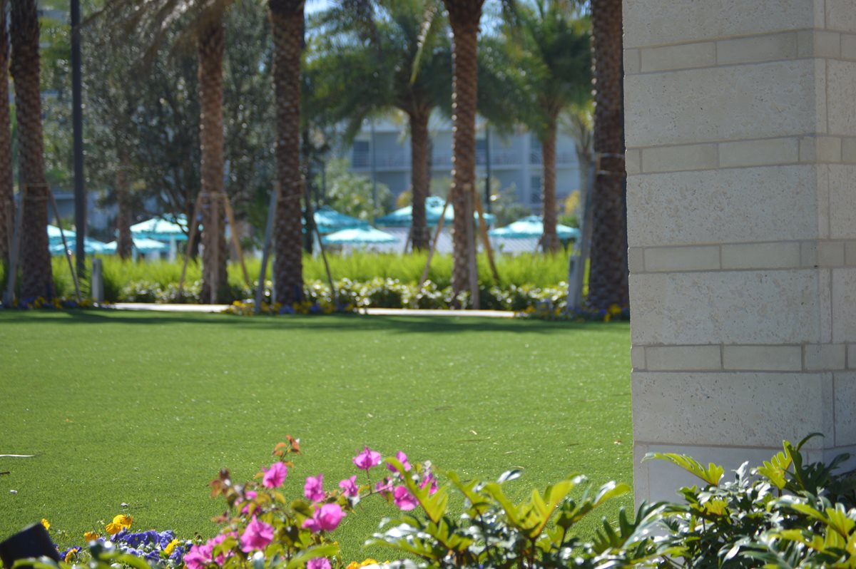 Price of Artificial Grass in Fresno